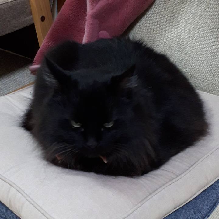 9969c83c 190c 4f64 a9d7 8c5290c79c92 1521103265329