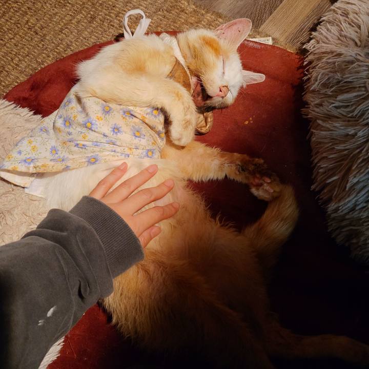 9969d77c 4d7f 4494 9efa 463e60f8d246 1763288493816