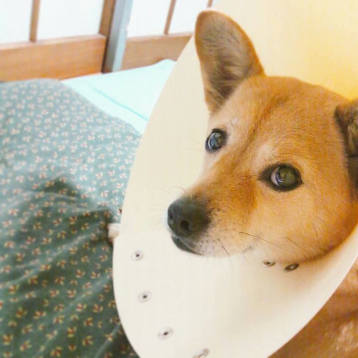 9969e78f ee1a 490e 8bfc a22e470d639b 1556111836595