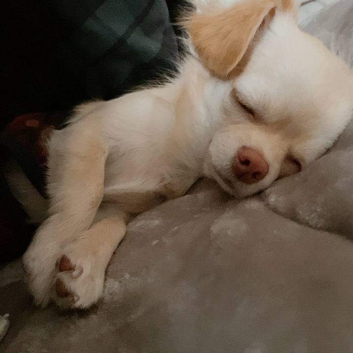 9969f914 13d7 46ee b5b4 14c8793c261c 1610681233938