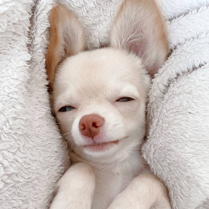 9969fa73 5cda 4f49 ac0b 074a125fe5f6 1594351605587