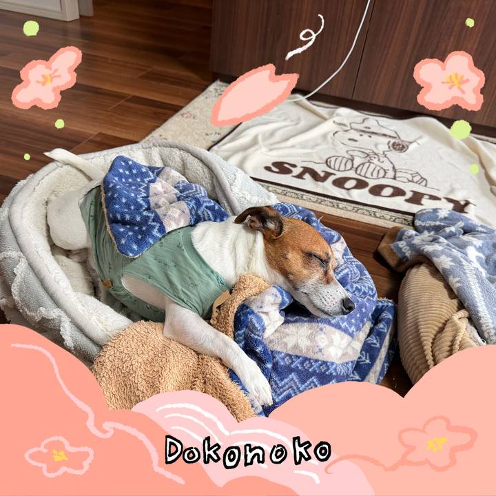 996a0793 9e08 4325 b92f 98164b175ebe 1775275646444