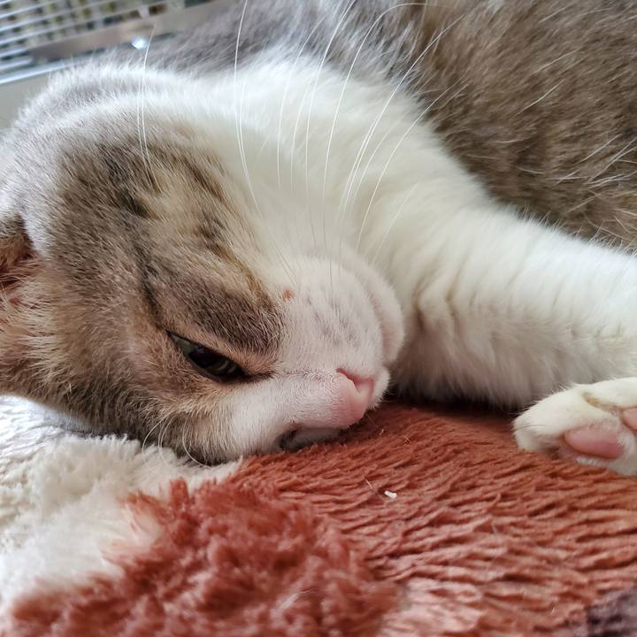 996a246d 694d 4fd4 a357 bd540204fef7 1708089937152