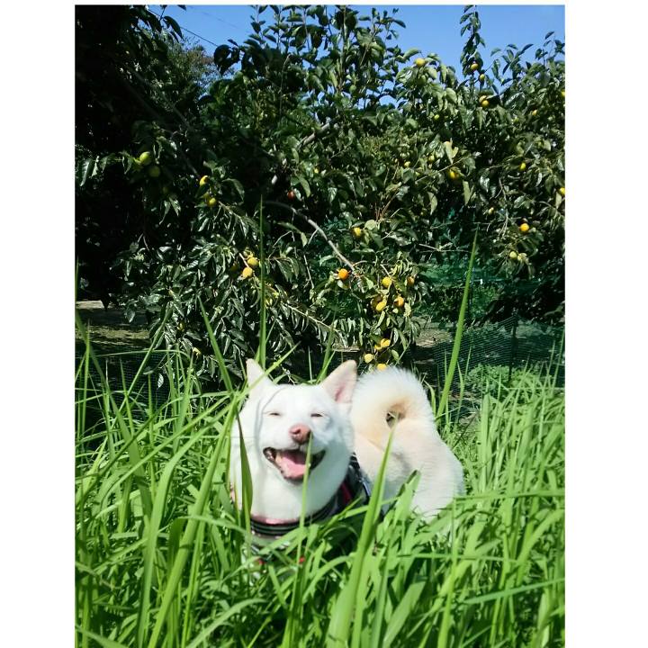 996a399e d25b 40b4 9de1 4601dc0b84c5 1538101210679