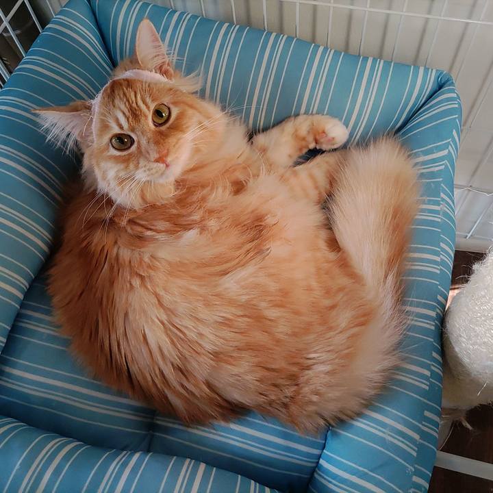 996a426b 4ef5 4f46 b7bb 806ea6b1daa7 1683238248785