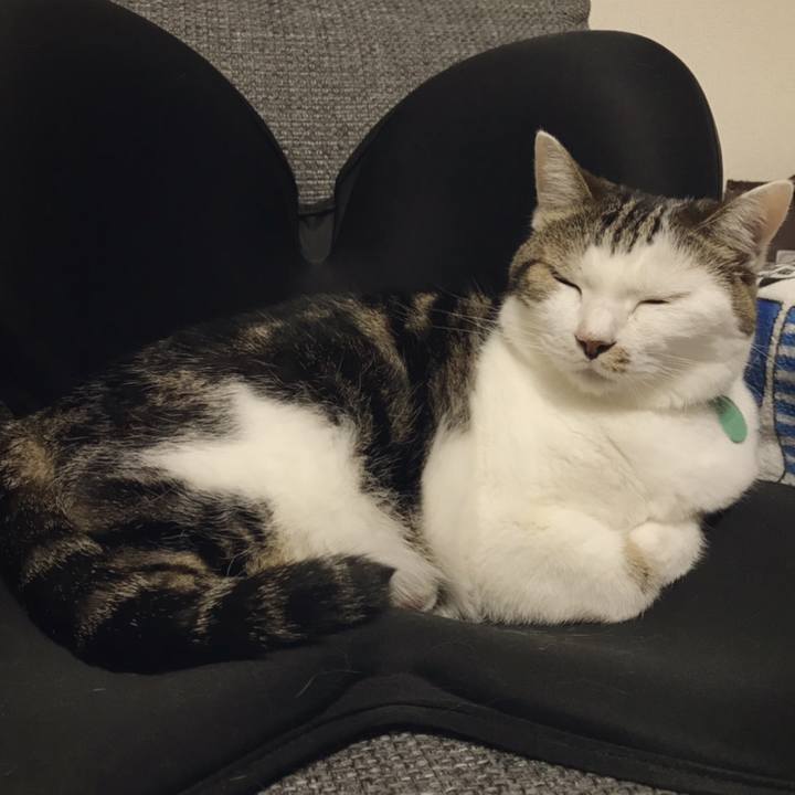 996a7df6 5bdf 46f5 84ae f3a3db4cec86 1567565759943