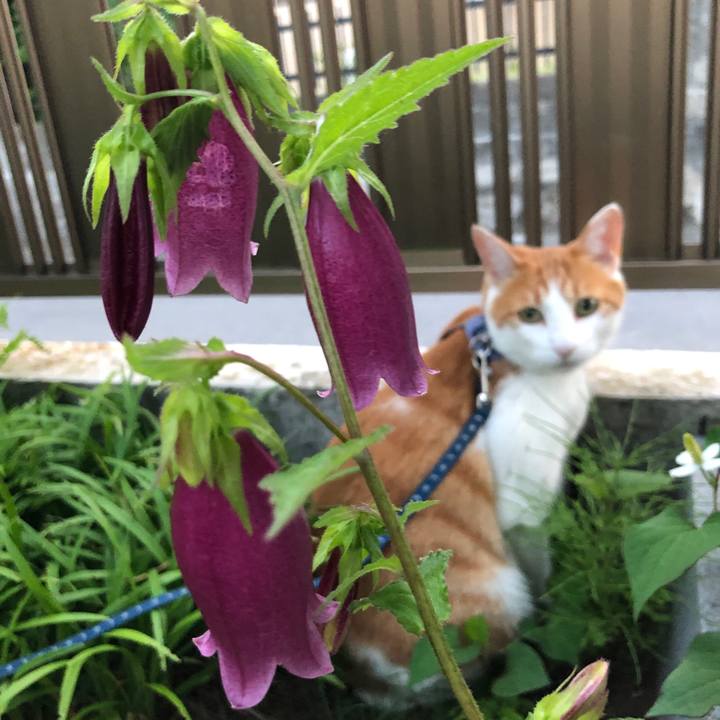 996a8005 cb55 409f b682 bf6eb5183a38 1560851593477