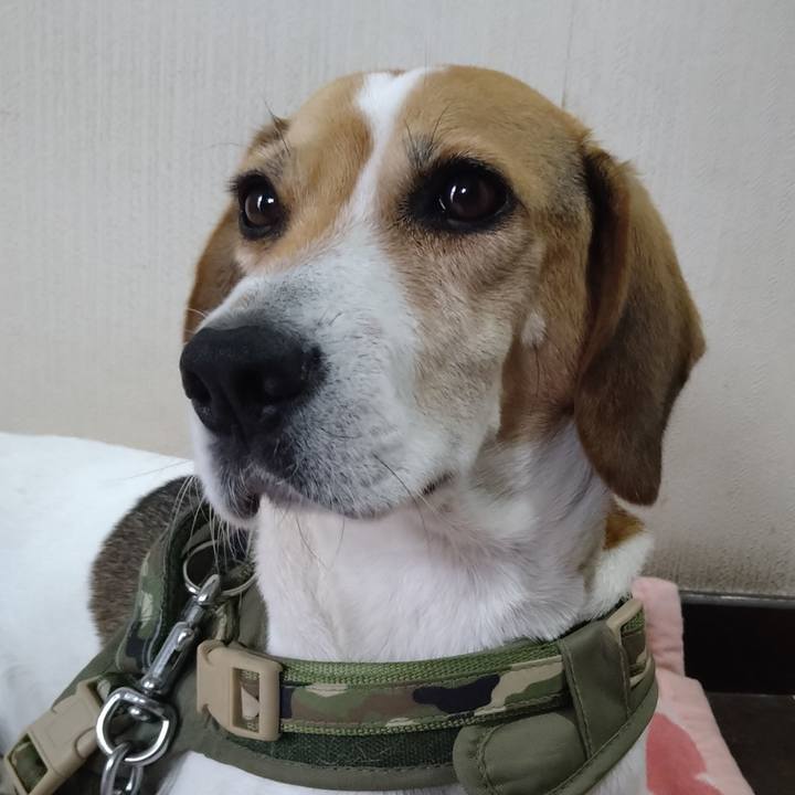 996ab575 e31b 4fbe 97ab 5f307419a3f3 1667276261089