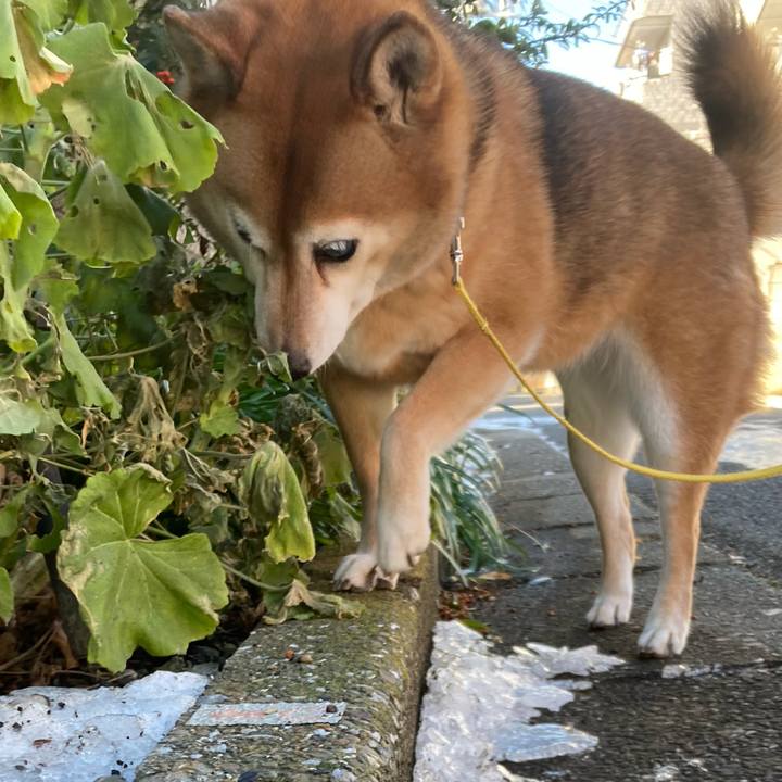 996abb96 947f 4919 9343 ea7359ad178b 1641698069124