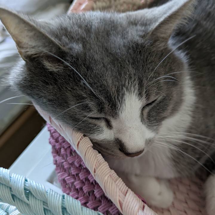 996abd54 4ad9 4f22 8d5a 65328b2f7822 1754613869537