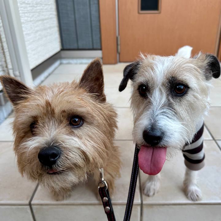 996ac32c d96d 4fde aaee 6084443efc24 1768249865117