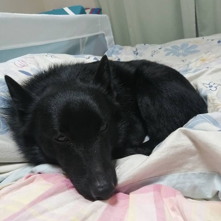 996ac88c a526 4afb ab08 d9c05795682d 1613477483791