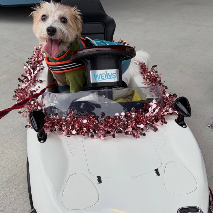 996b4bbb a52d 4b00 b79a 49e031cd8160 1759573048876