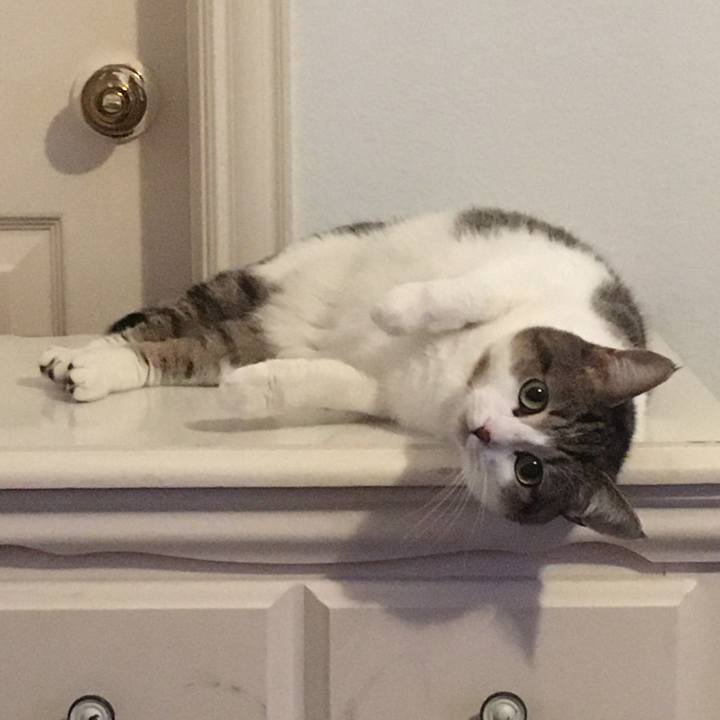 996b528a ac4f 4dae 9f8f d3f07a084872 1693961694267