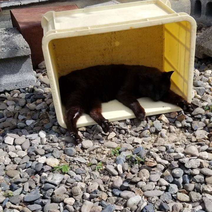 996bf54a e3bd 4447 8fd9 78ec0a6188b1 1687571867206