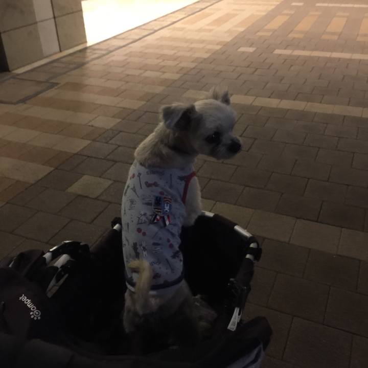 996bfc22 6969 4bcf 8633 de98f6b5a906 1544109910008