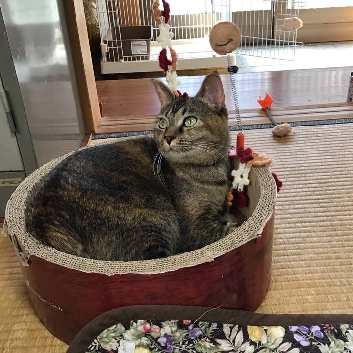 996c06f0 6a5e 4959 9987 63ad2b5436f6 1634694204883