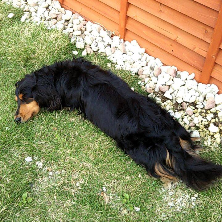 996c0c4c 227b 4cbb 8c2a 46e3b73248d1 1687779289939