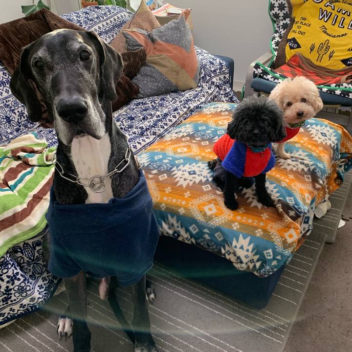 996cbc28 ed71 4ea2 b046 e16a002c334f 1578264311177