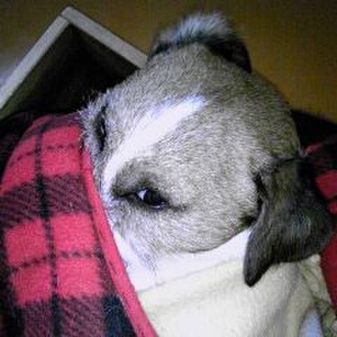 996ce375 ad45 47db 8b45 0129b27884fb 1524228876981