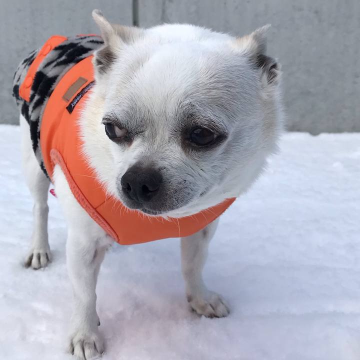 996cfc2c 1103 4db3 9214 4aa11d89e8b9 1646708443359