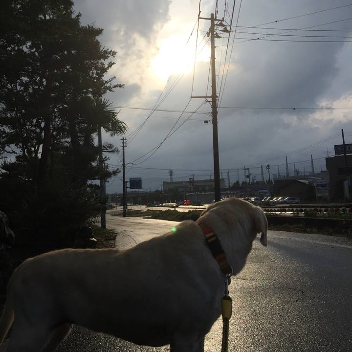 996d1fbd 8de1 455f a968 6eef2dd4e160 1593589622059