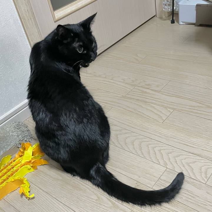 996d2464 be3a 4ba4 a288 82faf4442830 1706099579979