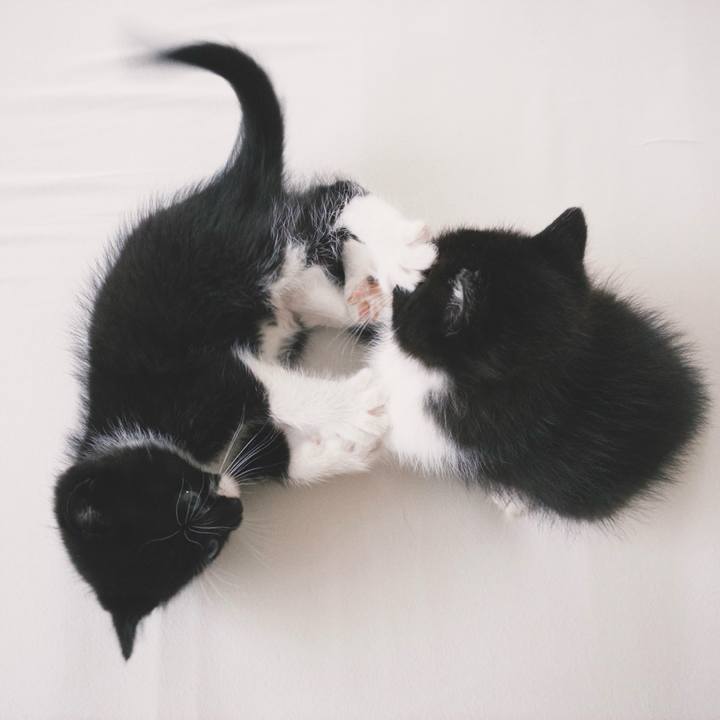 996d59e9 4239 4f7a a222 f62e107af097 1760624630849