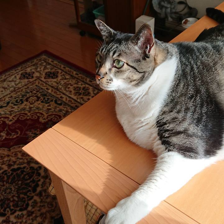 996d6237 341f 4590 8b87 651facc22f0d 1526940150183