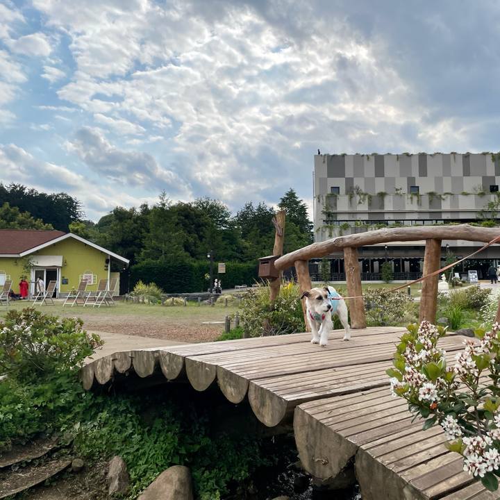 996d7121 7083 4ee9 9939 6798d5269377 1683902699265