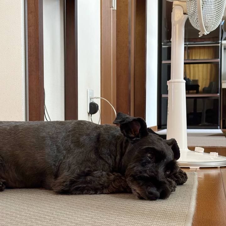 996d7d00 4cf1 4ab2 b8d3 b47c2aa757d2 1757916603306