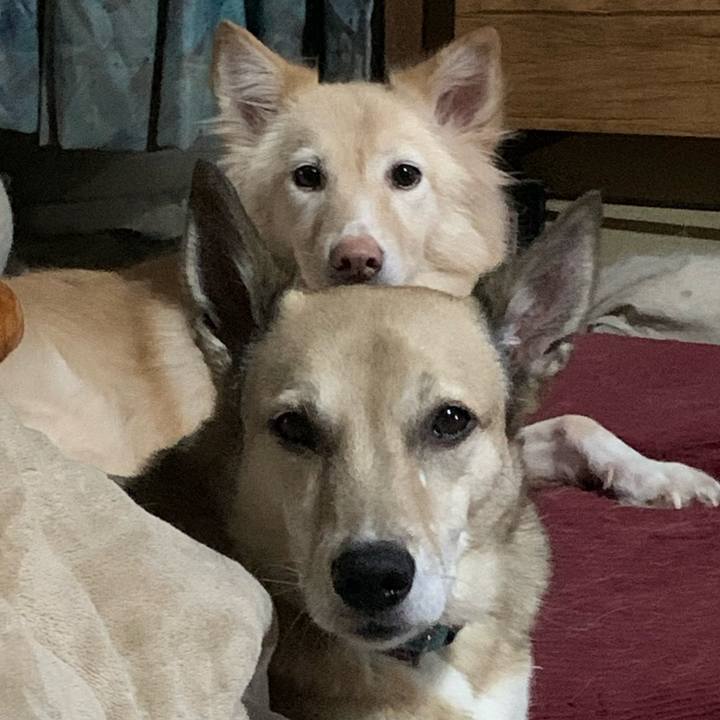 996d8d92 2376 435c 9fcb b5b891934559 1668864287552