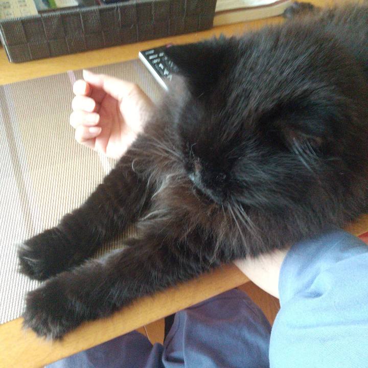 996df562 3c2c 459c 87d8 22466aca0211 1687851445129