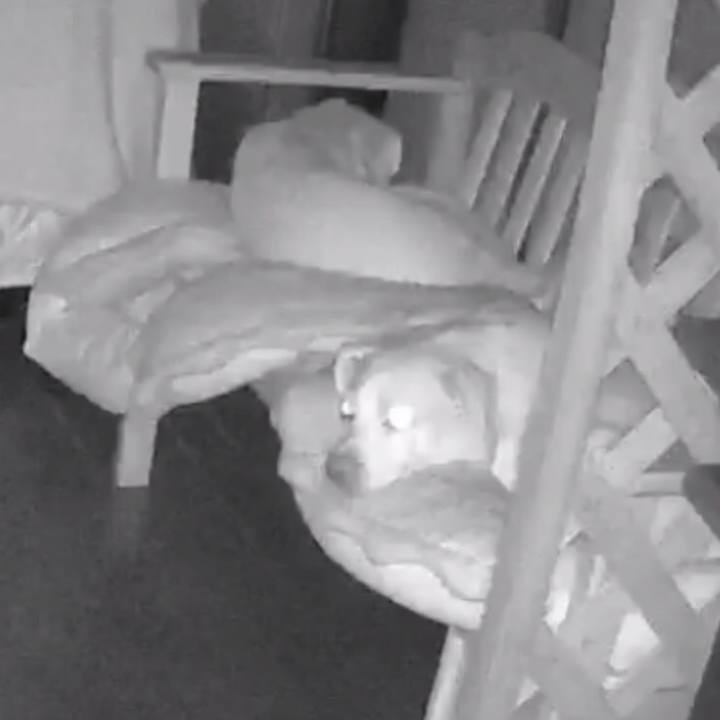 996df7d9 4473 4c1c 8a30 ccd6b4476f2f 1531131531300