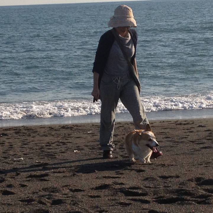 996e0f2d 4062 4464 9421 02c9296d92b5 1525057880647