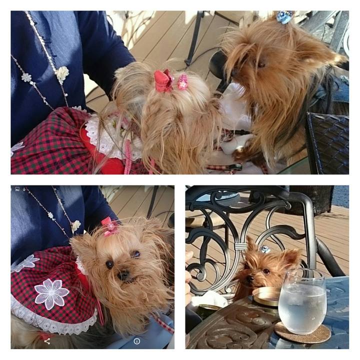 996e7a9f 027f 4c50 b7ed be36f2032aca 1540797443761