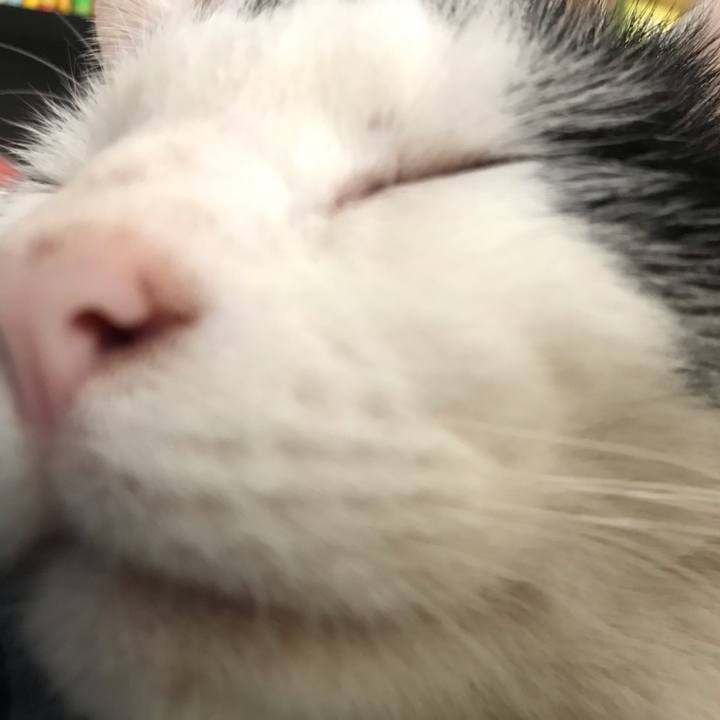 996e9ead 9edf 46dd bc1b 0c5ca5f03e11 1579230356445