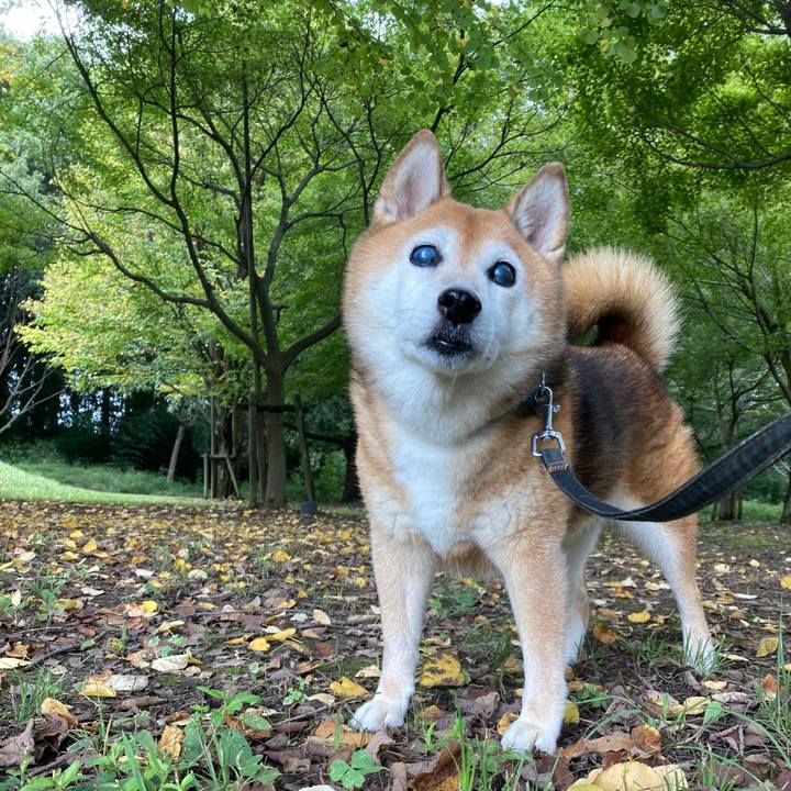 996ec197 41d7 4998 91f2 d3ceb7584181 1728266367840