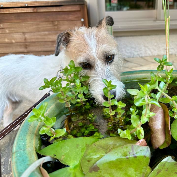 996ec626 b518 490a a5da 002691550f98 1756778226959