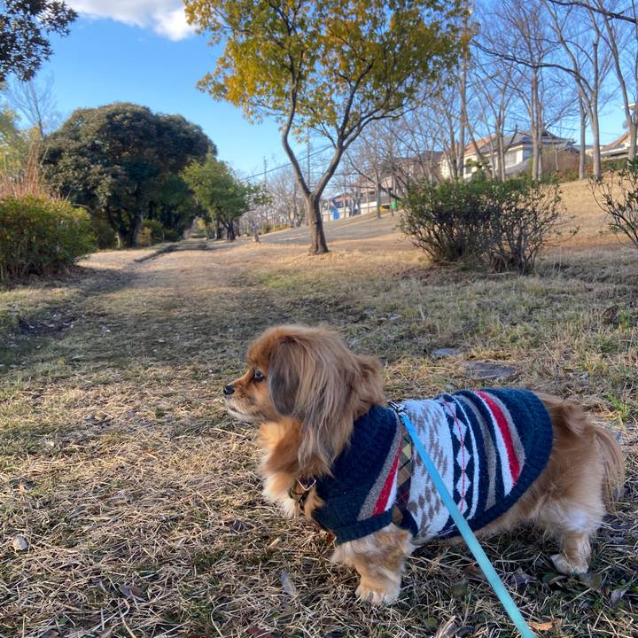 996ef022 61e2 4b96 81a0 3d4d3770c6f8 1672533884355