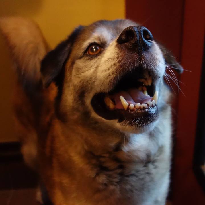 996ef137 80eb 47c1 aea7 330641782cd5 1675038970294