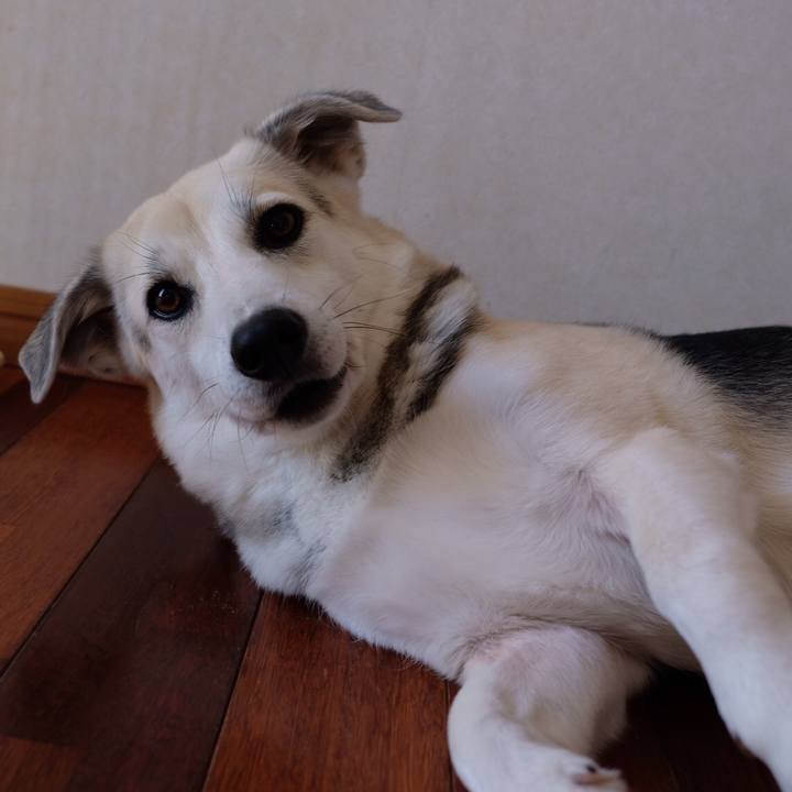 996f107d a9e5 4442 a47f 81b74a0b280a 1545385239371