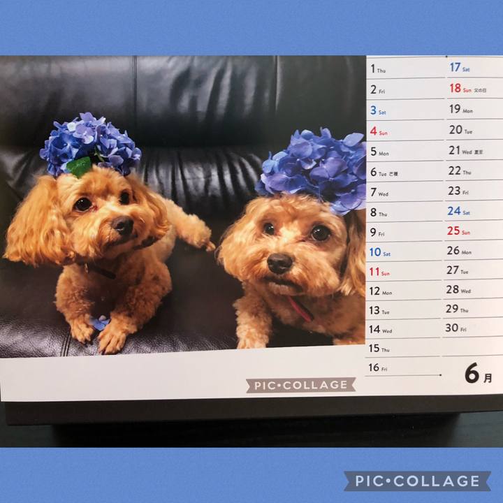 996f10ee 2773 41e5 bd1a 9e921a35a16a 1685767381898