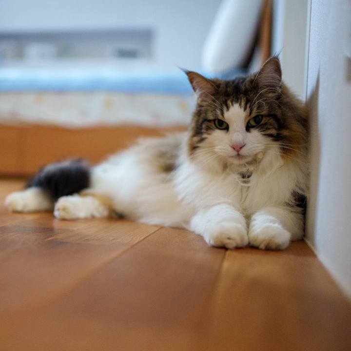 996f2b42 a953 4f17 a8ef 1a03183feed8 1719290171479