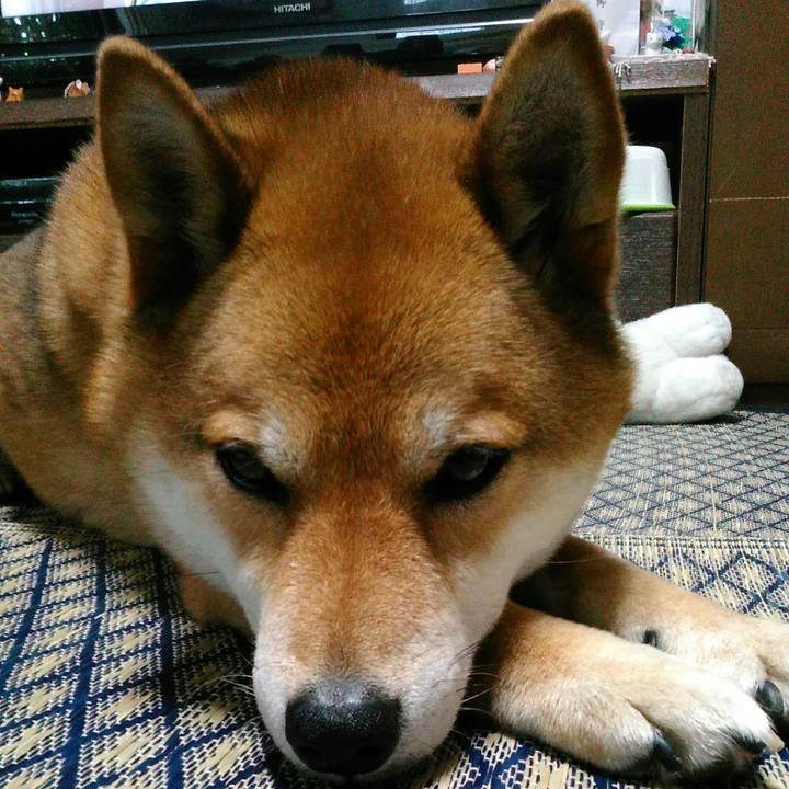 996f3edc 9a75 4582 9c45 ade5bdac845e 1525236066950