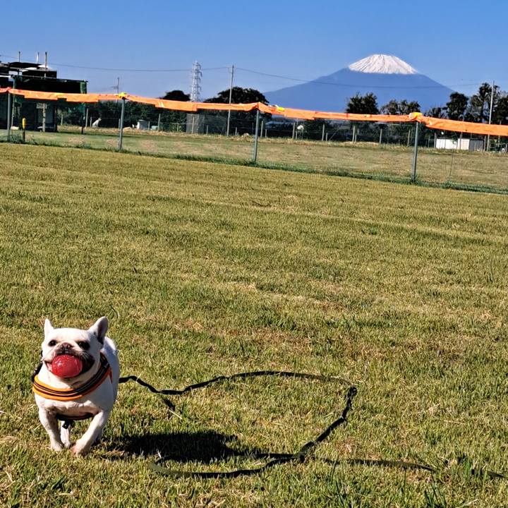 996f463d 3359 4c93 825c 8b3980b1ef04 1697419036663