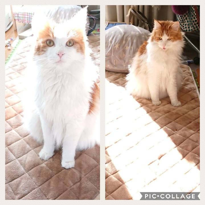 996f5161 a957 47f8 b9de 0c2363c618d6 1546497987569