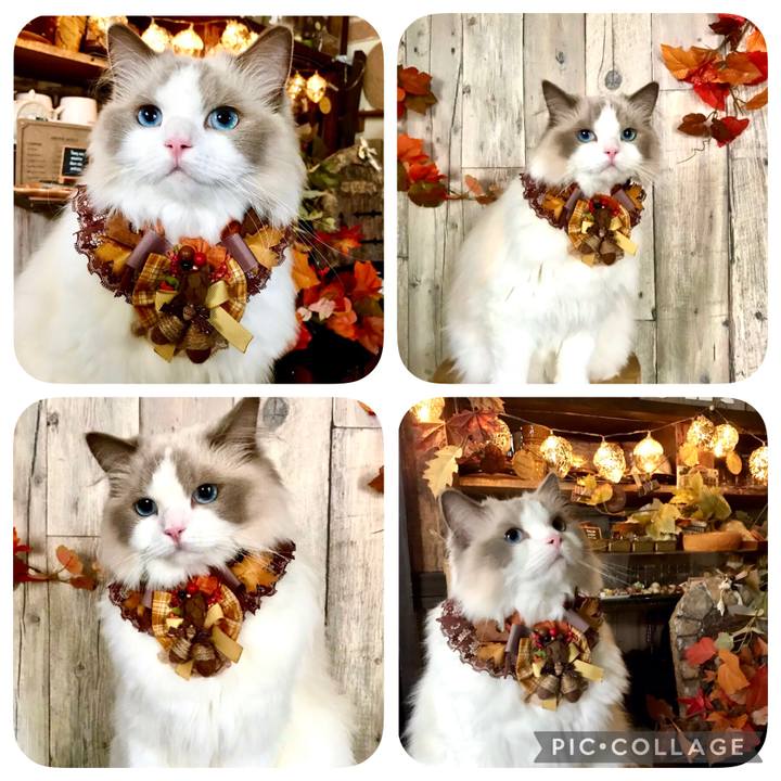 996f6bbb f824 4952 83f1 8c1ffea28e5b 1630646803842