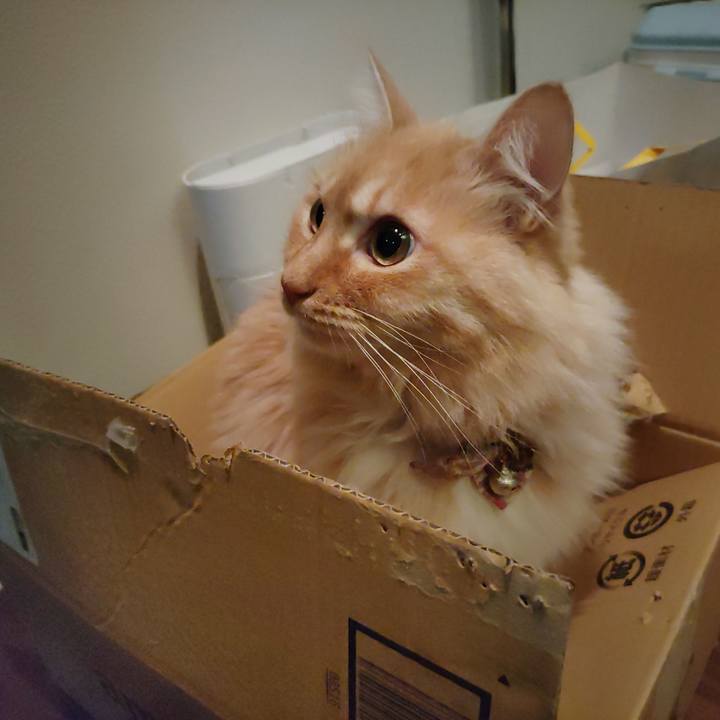 996f6c32 c9d2 4d9d a85e d8aed81c2cc0 1670855211637