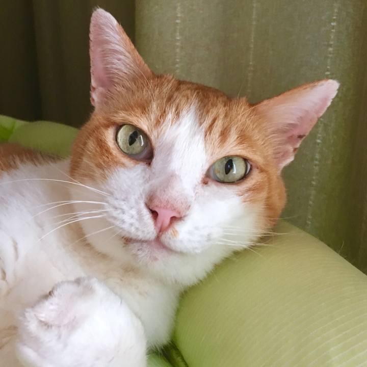 996f7b24 5707 47c3 b7fa 7fe0d7955478 1565156741142